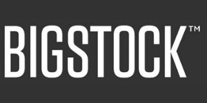 Bigstock