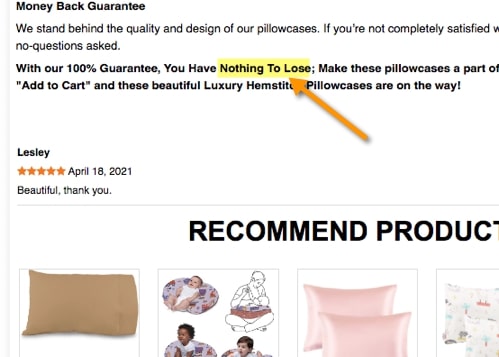 The CTA phrase ‘Nothing to Lose’ used on an ecommerce website