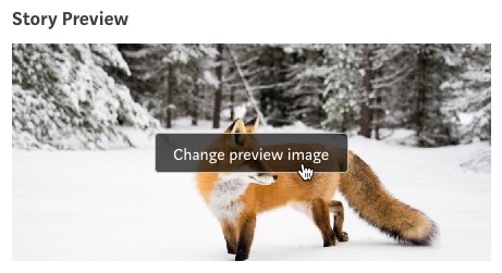 Change the preview image for your story