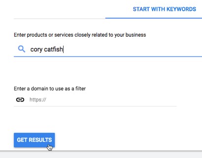 Using Keyword Planner for research