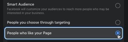 Facebook’s ad options include people who like your Page