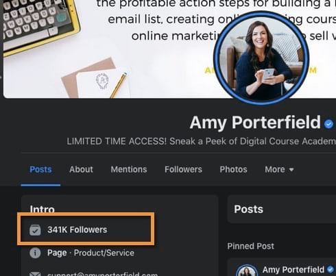 Amy Porterfield has grown her followers on Facebook to over 340 thousand