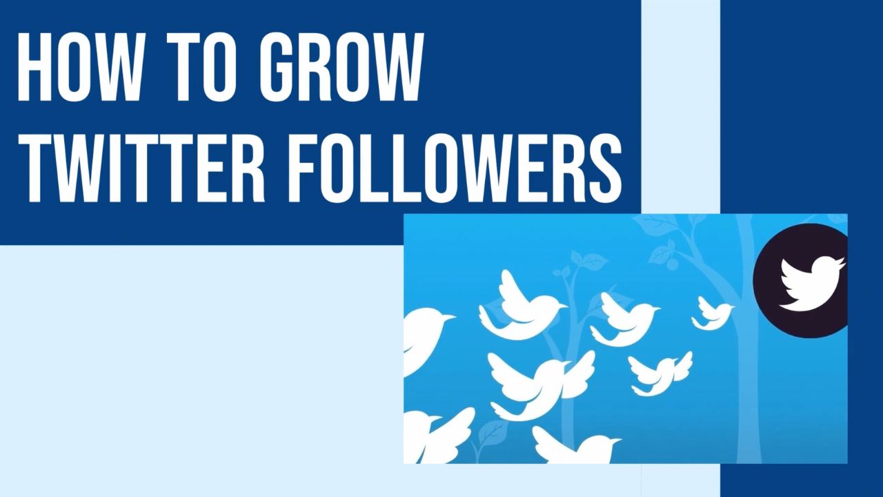 How to Grow Twitter Followers