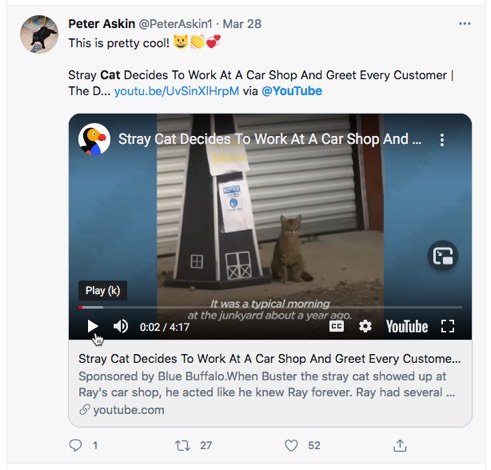 YouTube video displayed via Twitter Card