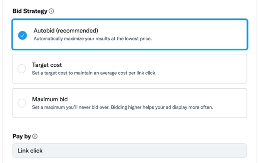 Bid strategy in Twitter ads