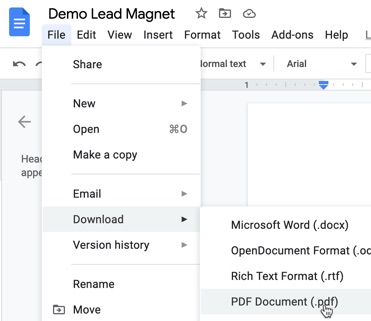 Download a document as a PDF directly from the software