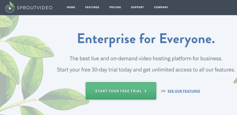 SproutVideo video hosting platform