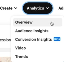 Access Pinterest analytics from the menu