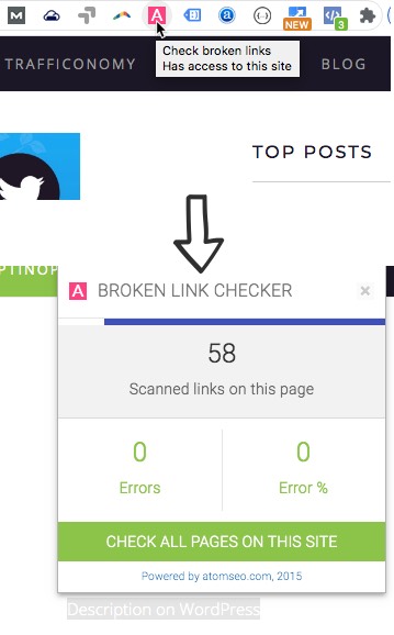 Click the broken link checker